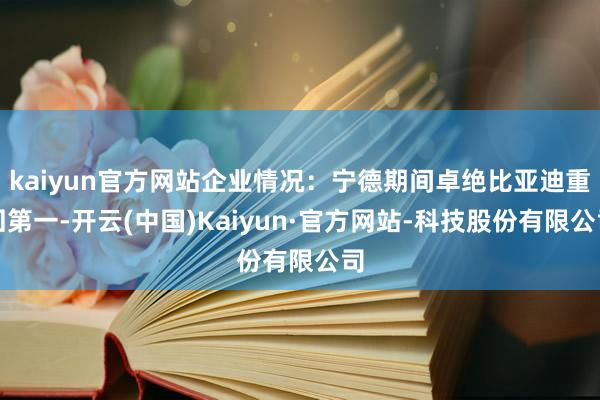 kaiyun官方网站企业情况:宁德期间卓绝比亚迪重回第一-开云(中国)Kaiyun·官方网站-科技股份有限公司
