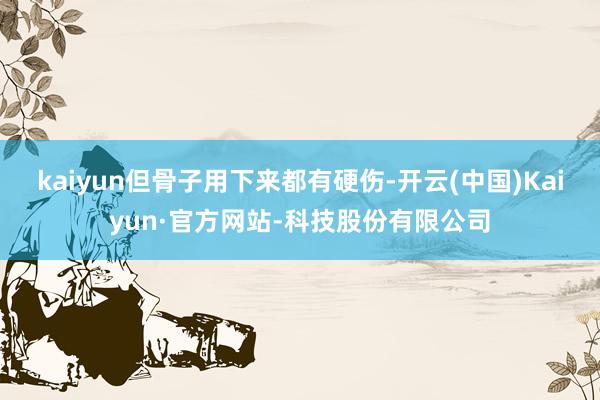 kaiyun但骨子用下来都有硬伤-开云(中国)Kaiyun·官方网站-科技股份有限公司